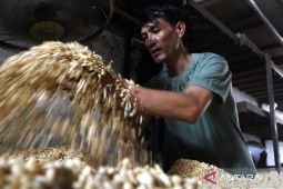 Mendag buka opsi subsidi perajin tempe imbas harga kedelai naik