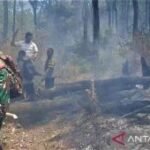 BPBD catat 36 kejadian karhutla di Magetan selama September 2026