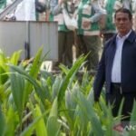 Amran jadi menteri terbaik versi survei Adidaya dalam 2 tahun Prabowo