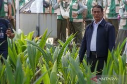 Amran jadi menteri terbaik versi survei Adidaya dalam 2 tahun Prabowo