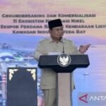 From raw ore to EV power: Indonesia’s US$10 bln nickel transformation
