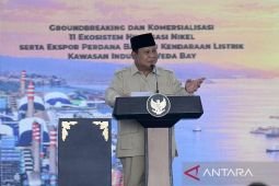 From raw ore to EV power: Indonesia's US$10 bln nickel transformation