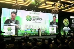 PBB: Ketahanan energi dan transisi rendah karbon tidak bertentangan