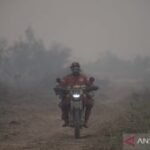 BMKG deteksi lonjakan 4.845 titik panas di Pulau Sumatera